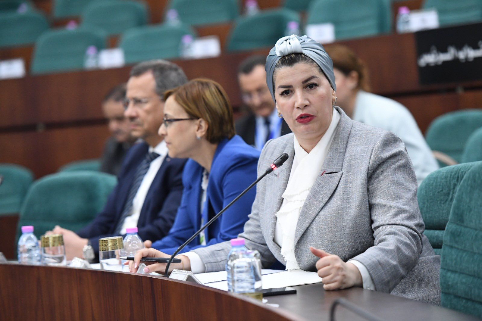 وزيرة التضامن تؤكد حرص الحكومة على التكفل وإدماج الأطفال المصابين بطيف التوحد