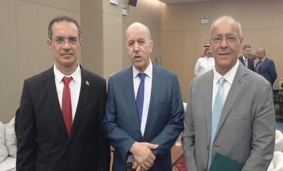 سايحي يقترح من تونس إنشاء هيئة إقليمية لتنسيق مقاربة “الصحة الواحدة”