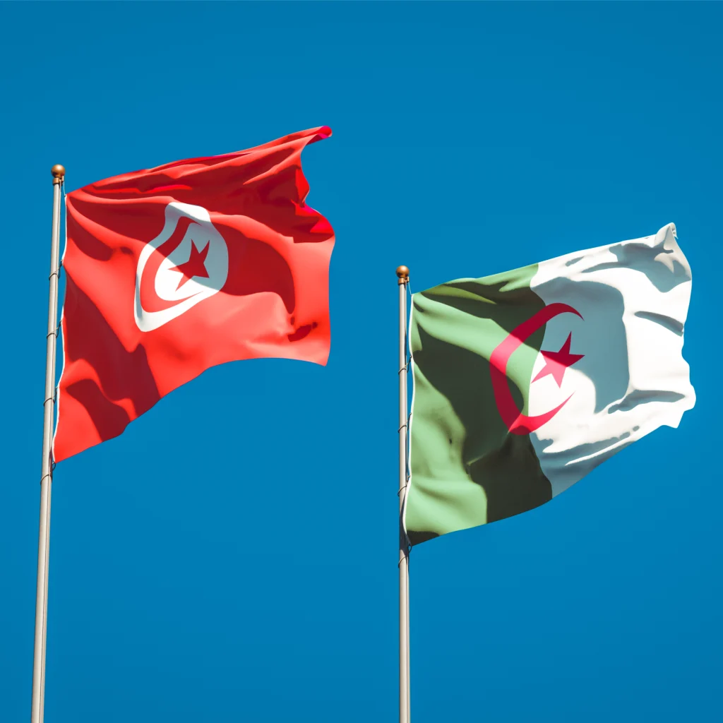 الجزائر وتونس تعززان تعاونهما في هذه المجالات