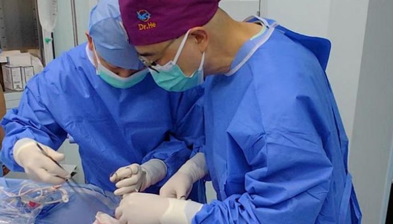 نجاح أول عملية زرع رئة من خنزير معدل وراثيا لإنسان
