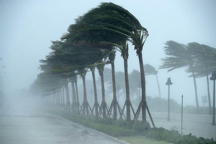 أمطار ورعود ورياح قوية عبر 7 ولايات