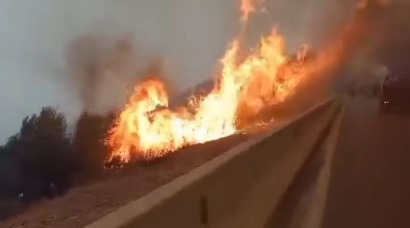 إجلاء عائلات بعد حريق مهول في جبال الشريعة بالبليدة