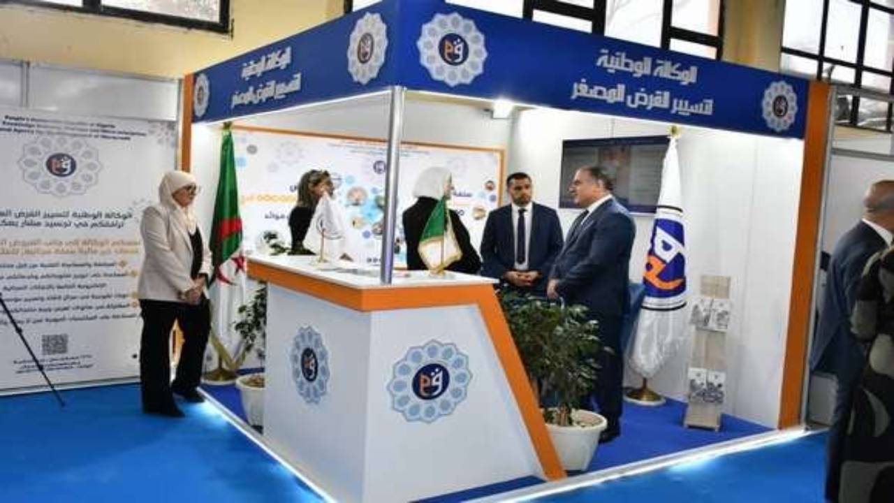 9 آلاف مشروع جديد في 6 أشهر.. القرض المصغر يفتح أبواب الأمل للشباب!