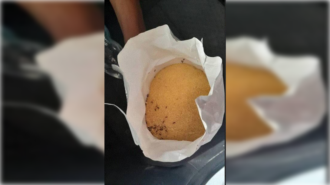 البليدة: مداهمة محل يبيع مواد استهلاكية منتهية الصلاحية منذ 4 سنوات